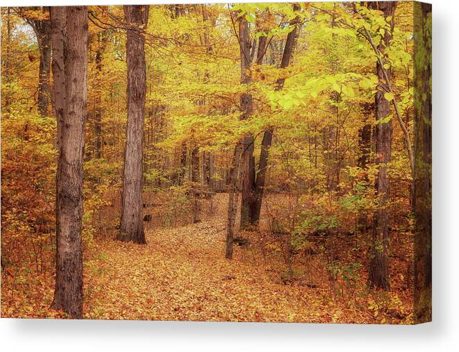 Trail Of Twelve Stones Canvas Print featuring the photograph Autumn on the Trail of Twelve Stones by Susan Rissi Tregoning