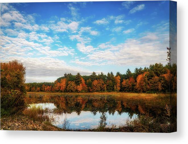 Reflections Canvas Print featuring the photograph Autumn pond reflections 2 by Lilia S