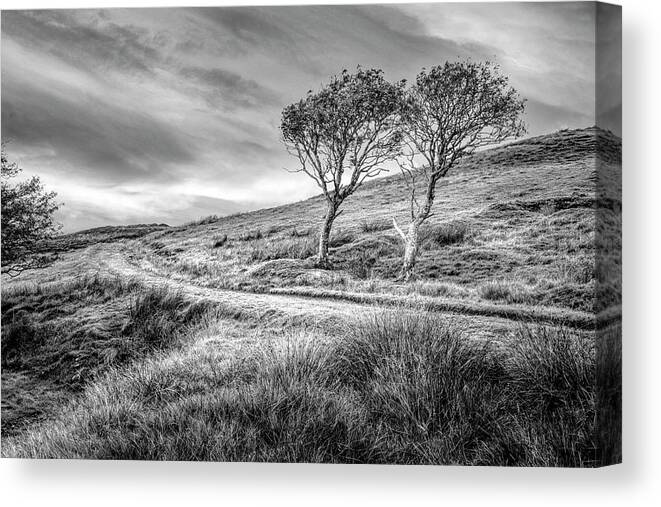 Clouds Canvas Print featuring the photograph Autumn Rowan Trees Black and White by Debra and Dave Vanderlaan