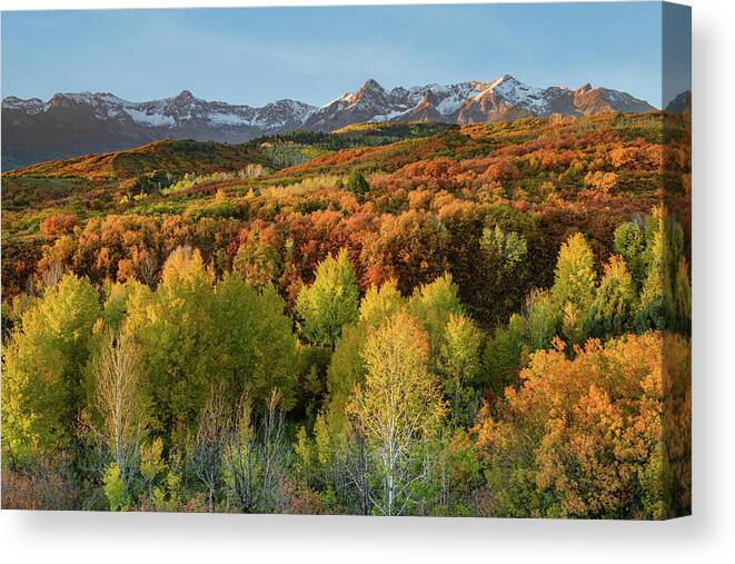 Autumn Canvas Print featuring the photograph Autumn Splendor by Angela Moyer