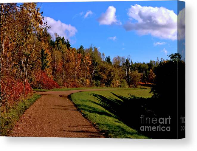 Autumn Canvas Print featuring the photograph Autumn Trail by Baggieoldboy