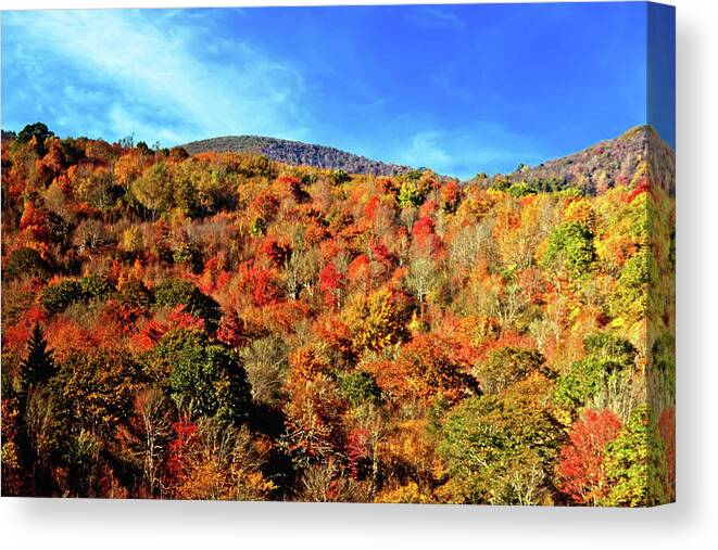 Autumn Canvas Print featuring the photograph Autumn View by Allen Nice-Webb