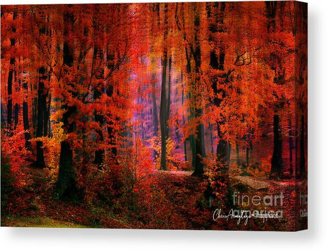 Forest Canvas Print featuring the digital art Autumn's paintbrush by Chris Armytage