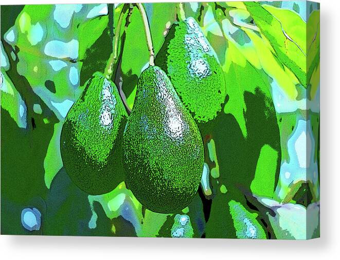 Art Canvas Print featuring the digital art Avocados by Chauncy Holmes
