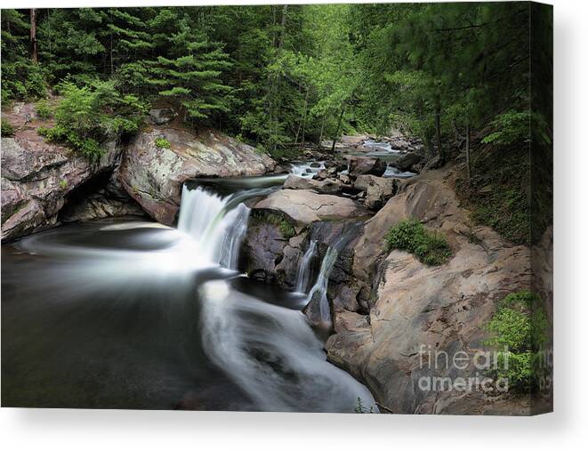 Baby Falls Tennessee Canvas Print featuring the photograph Baby Falls by Rick Lipscomb