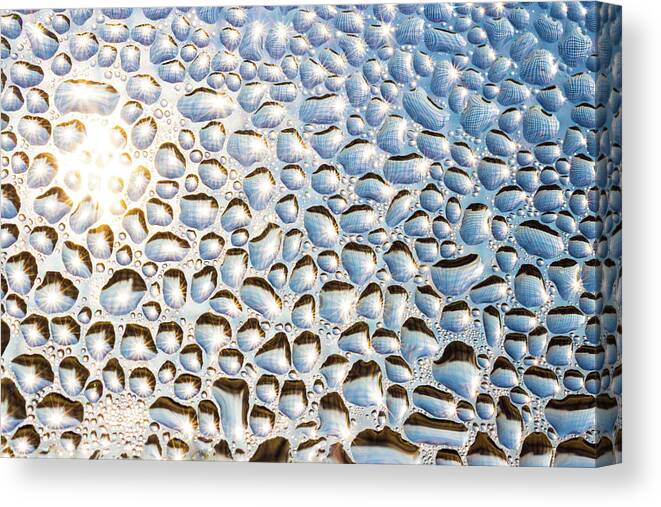 Backlight Canvas Print featuring the photograph Water drops on window backlit by sun by Viktor Wallon-Hars