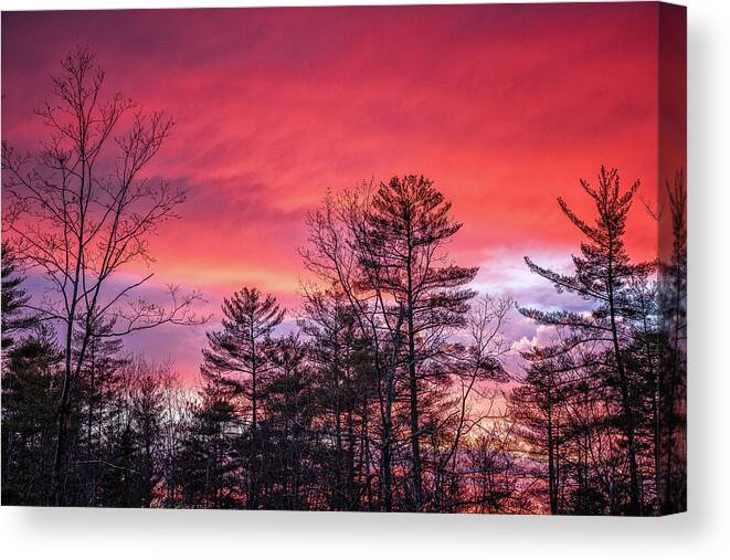 New Hampshire Canvas Print featuring the photograph Backyard Sunset by Jeff Sinon