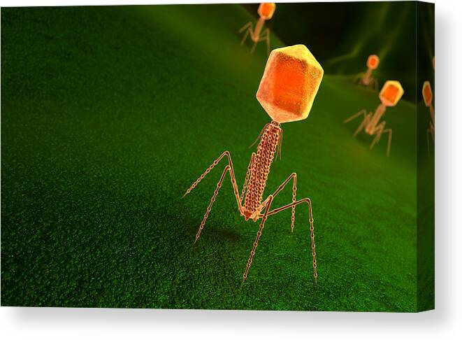 Particle Canvas Print featuring the photograph Bacteriophage virus particle on bacteria surface by iLexx