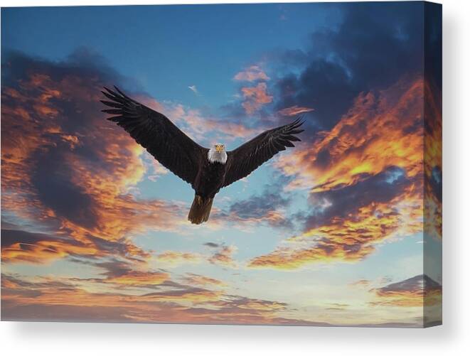 Alaska Canvas Print featuring the photograph Bald Eagle Looking at Sunset by Darryl Brooks