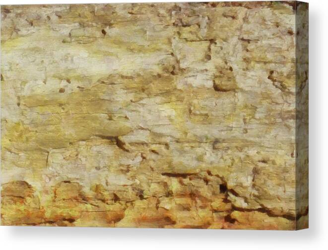 Bark Canvas Print featuring the mixed media Bark Texture by Christopher Reed