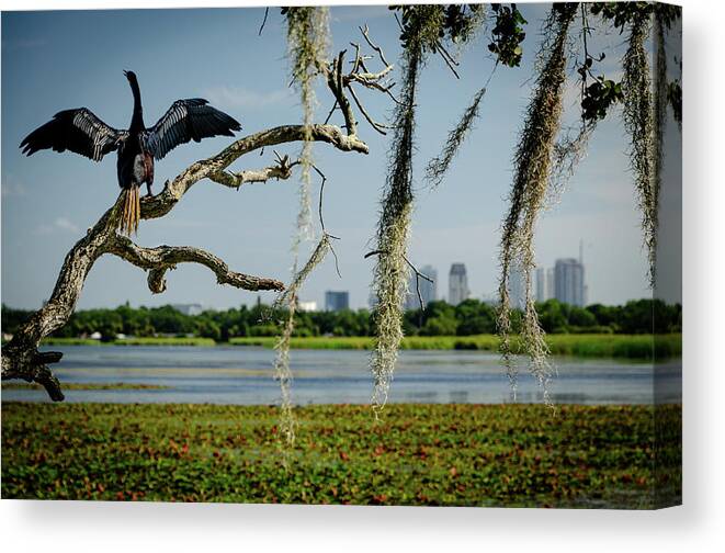 Batman Canvas Print featuring the photograph Batman by Vicky Edgerly