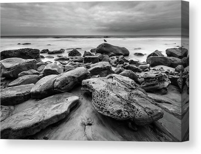 Seascape Canvas Print featuring the photograph Baywatch by Alexander Kunz