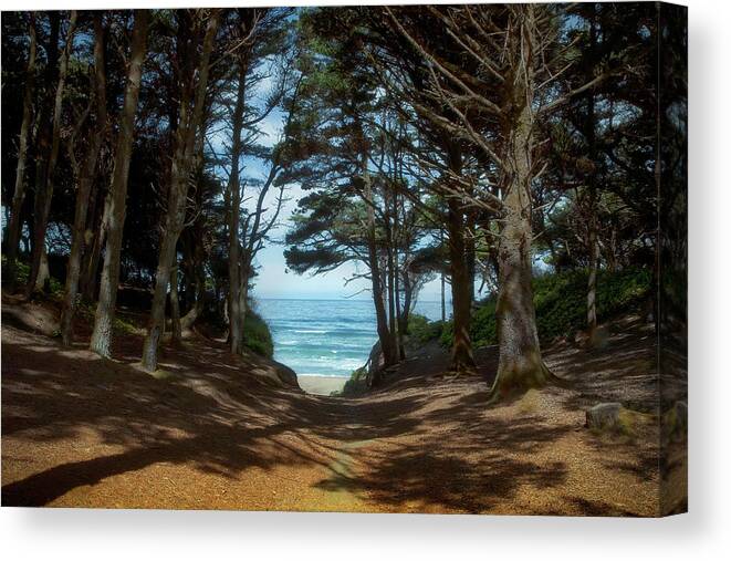 Beach Canvas Print featuring the photograph Beach Trail by Loyd Towe Photography