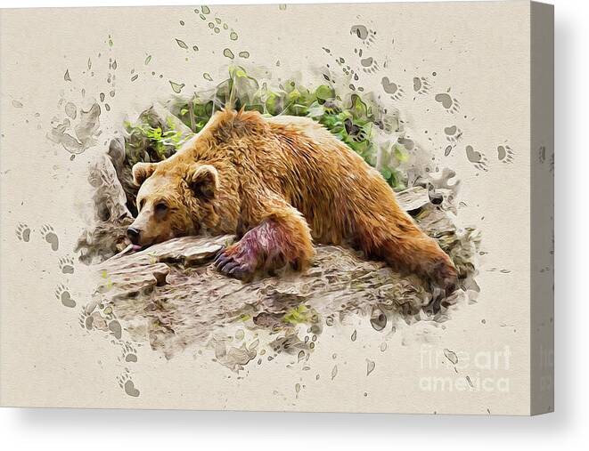 Bear Canvas Print featuring the painting Bearly There by Denise Dundon
