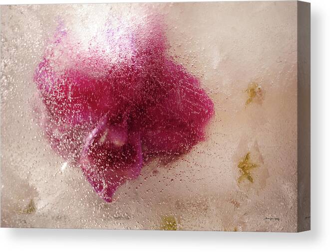 Abstractexpressionism Canvas Print featuring the photograph Beauty by Randi Grace Nilsberg