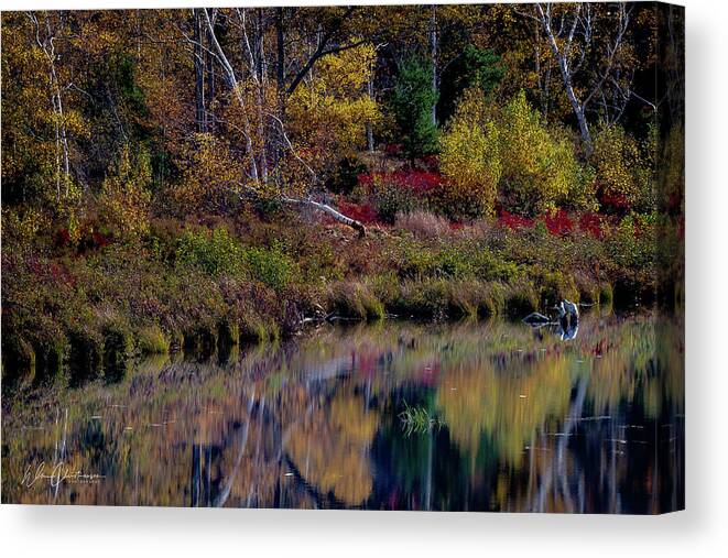 Beaver Canvas Print featuring the photograph Beaver Dam Pond in October by William Christiansen