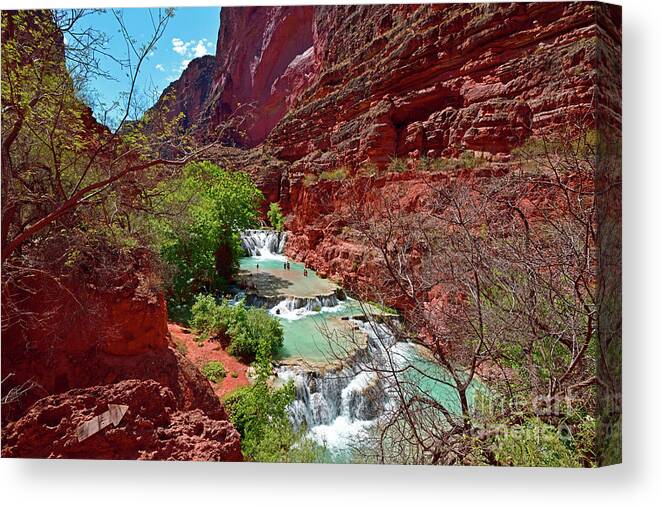 Beaver Falls Canvas Print featuring the photograph Beaver Falls Wider View by Amazing Action Photo Video