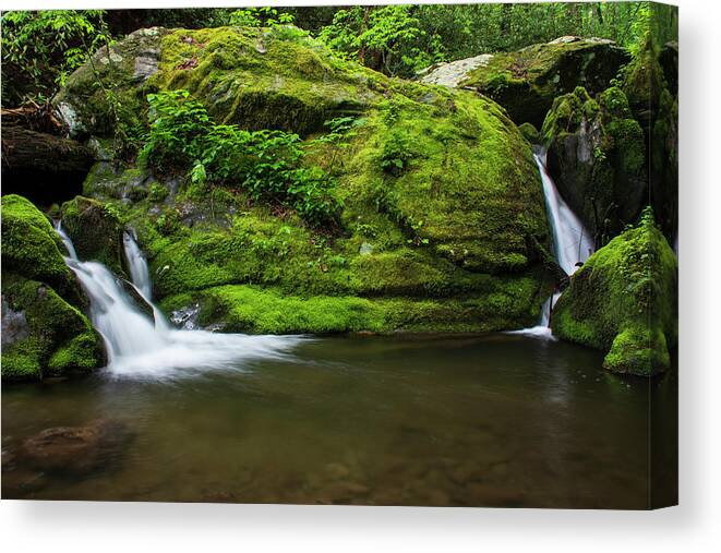 Great Smoky Mountains National Park Canvas Print featuring the photograph Below 1000 Drips 2 by Melissa Southern
