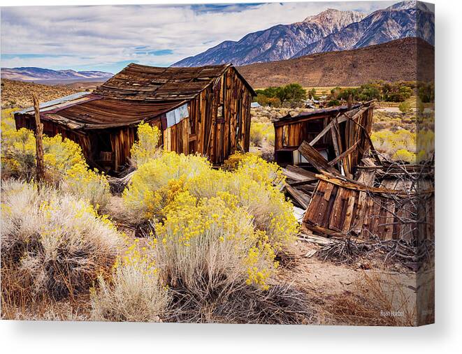 Ghost Town Canvas Print featuring the photograph Benton Hot Springs Return to Nature by Ryan Huebel