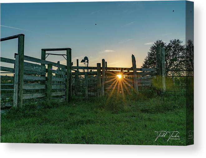 Indiantown Canvas Print featuring the photograph Between the Boards by Todd Tucker