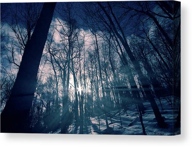 Light Canvas Print featuring the photograph Between The Light And The Shadow by Carl Marceau