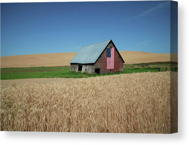 Farm Canvas Print featuring the photograph Between Waves of Grain by Connie Carr