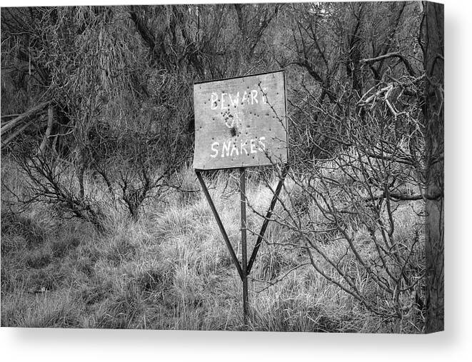 Black And White Canvas Print featuring the photograph Beware of Snakes by Mary Lee Dereske