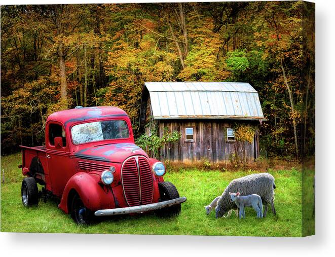 Red Canvas Print featuring the photograph Big Red on the Farm by Debra and Dave Vanderlaan