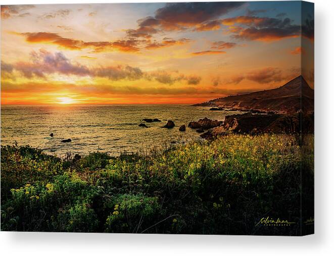 Landscape Photography Canvas Print featuring the photograph Big Sur the return. by Silvia Marcoschamer