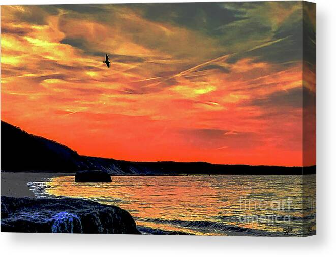 Bird Canvas Print featuring the photograph Bird of Orange skies by Eileen Kelly