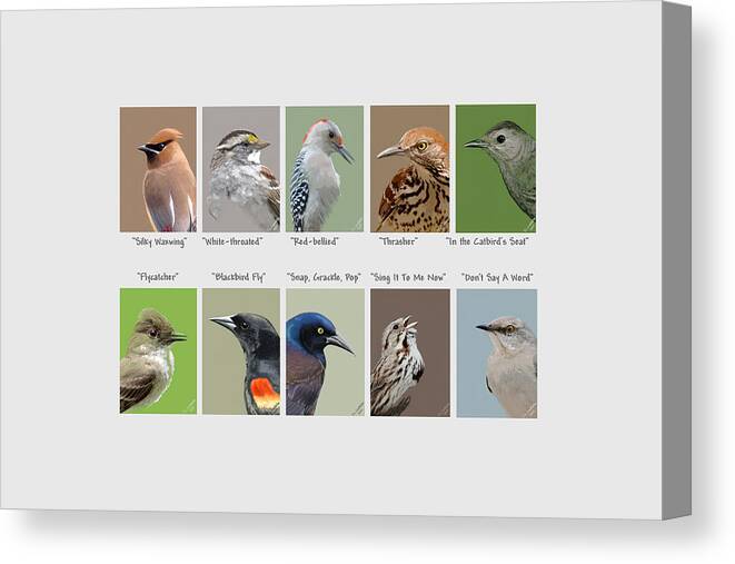 Birds Canvas Print featuring the mixed media Birds En Masse 2 by Judy Cuddehe