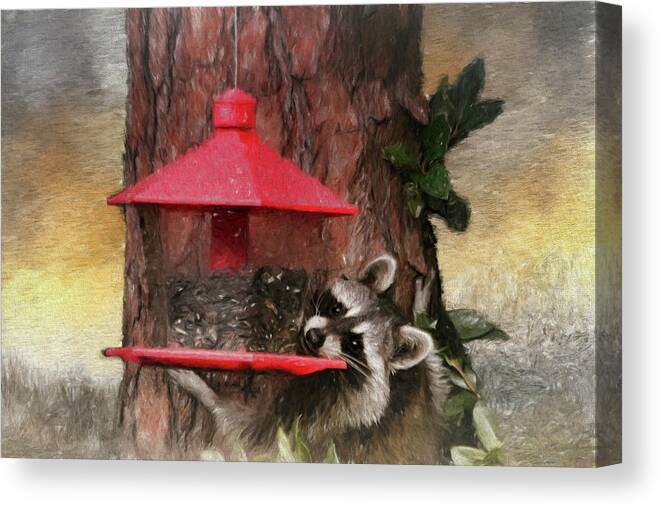 Raccoon Canvas Print featuring the photograph Birdseed Stealing Bandit by Ola Allen