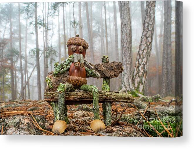 Figure Canvas Print featuring the photograph Birdwatcher on Bench in Forest by Arterra Picture Library
