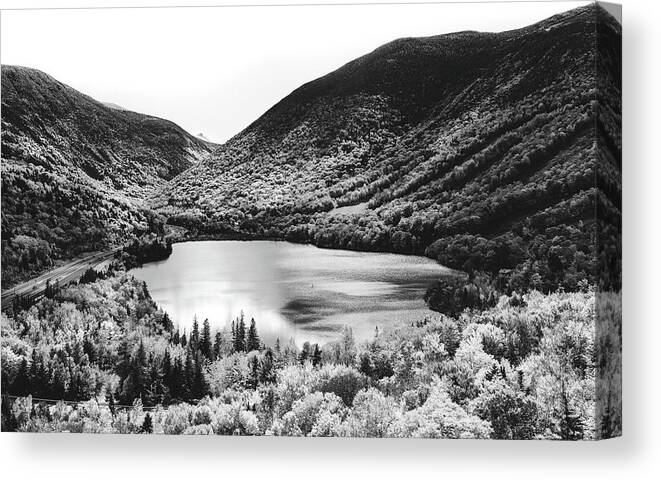 Artist Bluff Trail Canvas Print featuring the photograph Black And White Arist Bluff by Dan Sproul