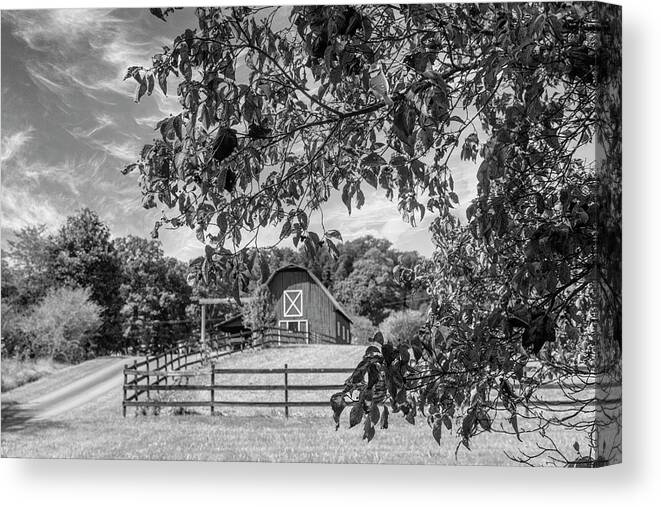 Barns Canvas Print featuring the photograph Black and White Country Barn in the Dogwoods by Debra and Dave Vanderlaan