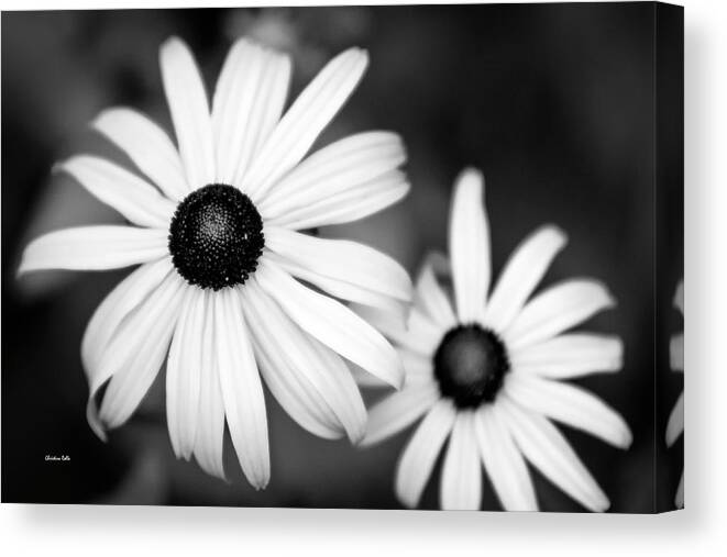 Black And White Canvas Print featuring the photograph Black and White Rudbeckia Flowers by Christina Rollo