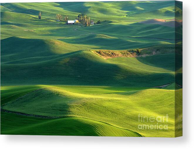 Palouse Canvas Print featuring the photograph Blanketed in Green by Michael Dawson
