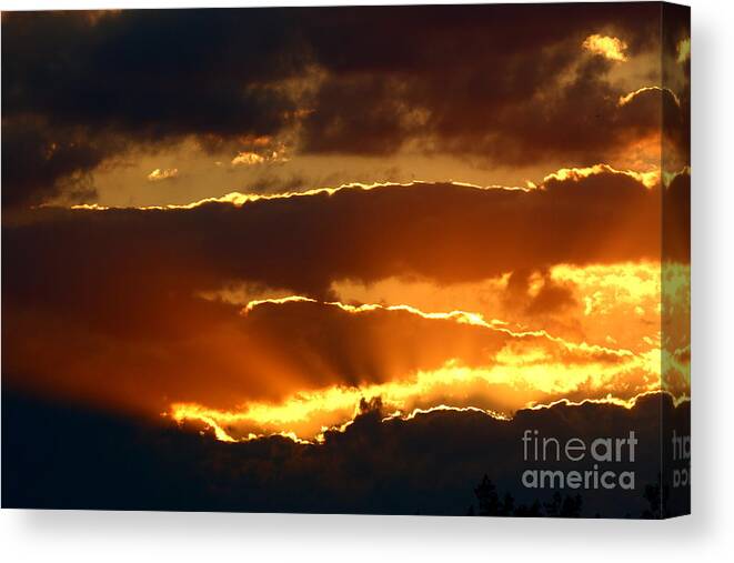 Fototaker Canvas Print featuring the photograph Blazing Nature by Tony Lee