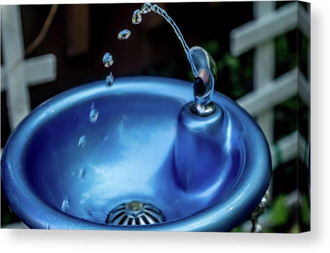 Blue Bubbler by Patti Raine