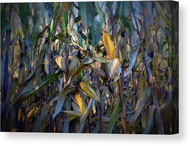Corn Canvas Print featuring the photograph Blue Corn Expressions by Wayne King