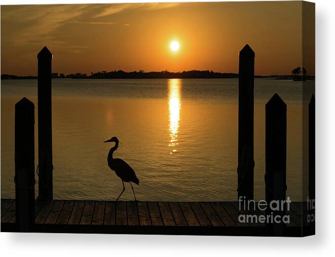 Reflection Canvas Print featuring the photograph Blue Heron on the Dock at Sunset by Beachtown Views