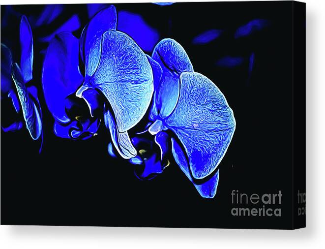 Abstract Canvas Print featuring the photograph Blue Light by Diana Mary Sharpton