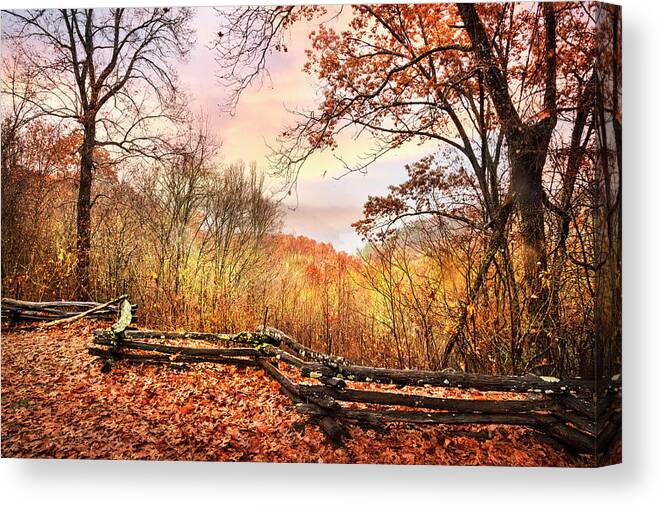 Carolina Canvas Print featuring the photograph Blue Ridge Mountains Overlook by Debra and Dave Vanderlaan