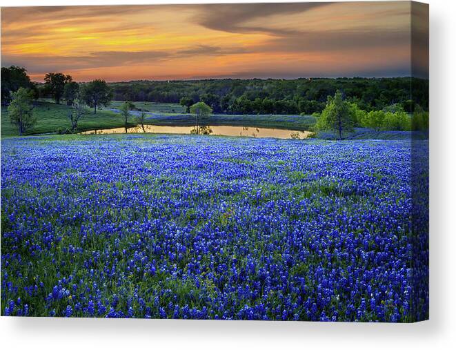 Texas Bluebonnets Canvas Print featuring the photograph Bluebonnet Lake Vista Texas Sunset - Wildflowers landscape flowers pond by Jon Holiday