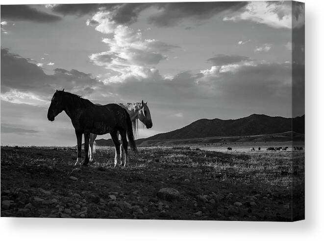 Black And White Canvas Print featuring the photograph BnW Gandalf and Buddy by Dirk Johnson