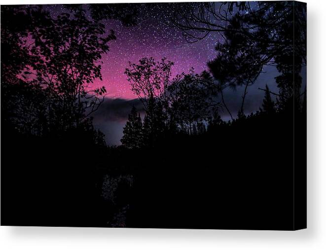 Aurora Borealis Canvas Print featuring the photograph Boot Creek Red Aurora Silhouettes by Dale Kauzlaric