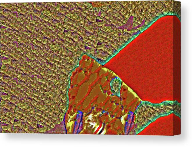 Abstract Beiges Red Oranges Blues Greens Purples Borders And Barriers Canvas Print featuring the photograph borders and barriers Abstract beiges red oranges blues greens purples 2 2122020 4101 by David Frederick