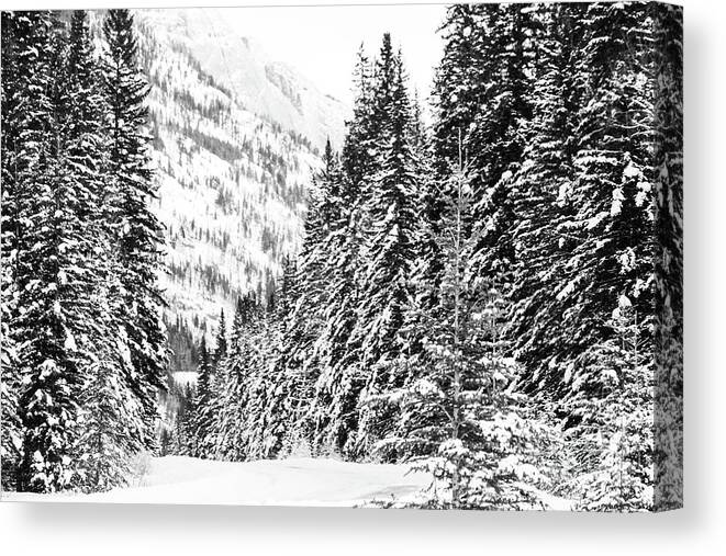 Rocky Mountains Canvas Print featuring the photograph Bow Valley Parkway in Winter by Wilko van de Kamp Fine Photo Art