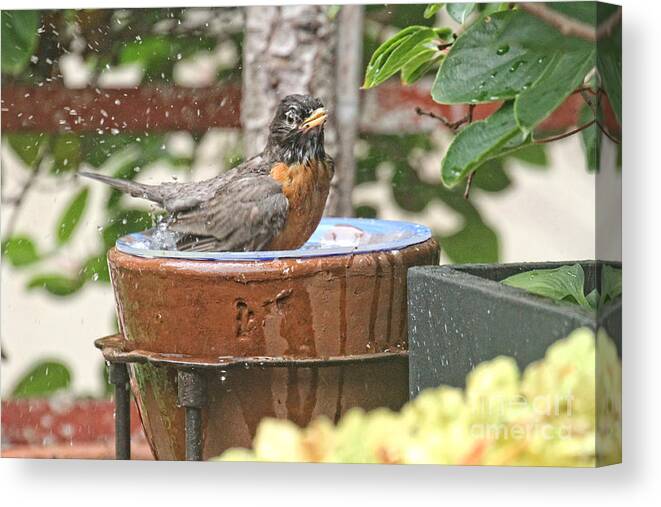 Wildlife Canvas Print featuring the photograph Bowl Bathing by Patricia Youngquist