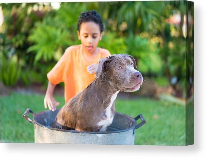 Pets Canvas Print featuring the photograph Boy bathing his dog by Thepalmer